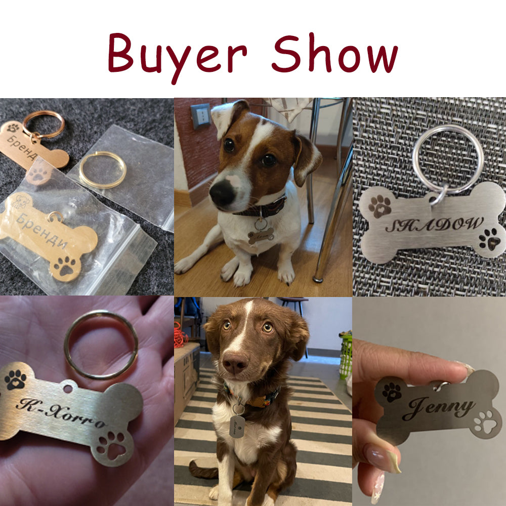 Personalized Custom-made Anti-lost Pet Tag Stainless Steel Bone Shape